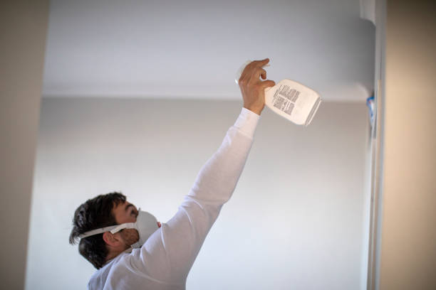 Best Home Mold Removal  in Armonk, NY