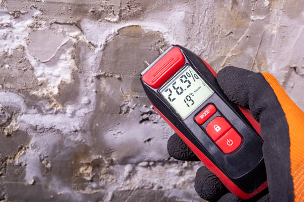 Best Same-Day Mold Removal  in Armonk, NY