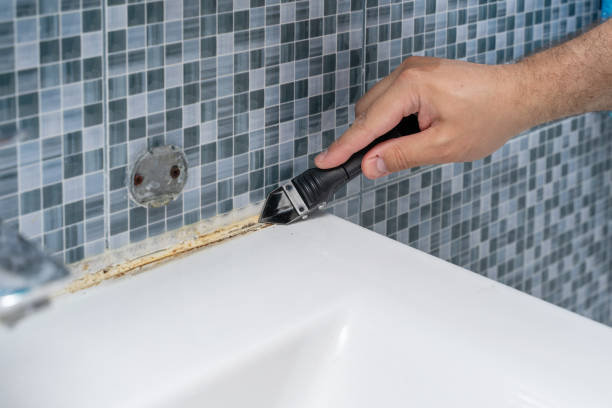 Best Mold Removal Near Me  in Armonk, NY